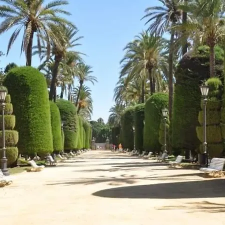 Soplos De Vida Apartamento Cádiz