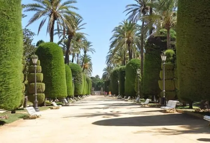 Soplos De Vida Lägenhet Cádiz